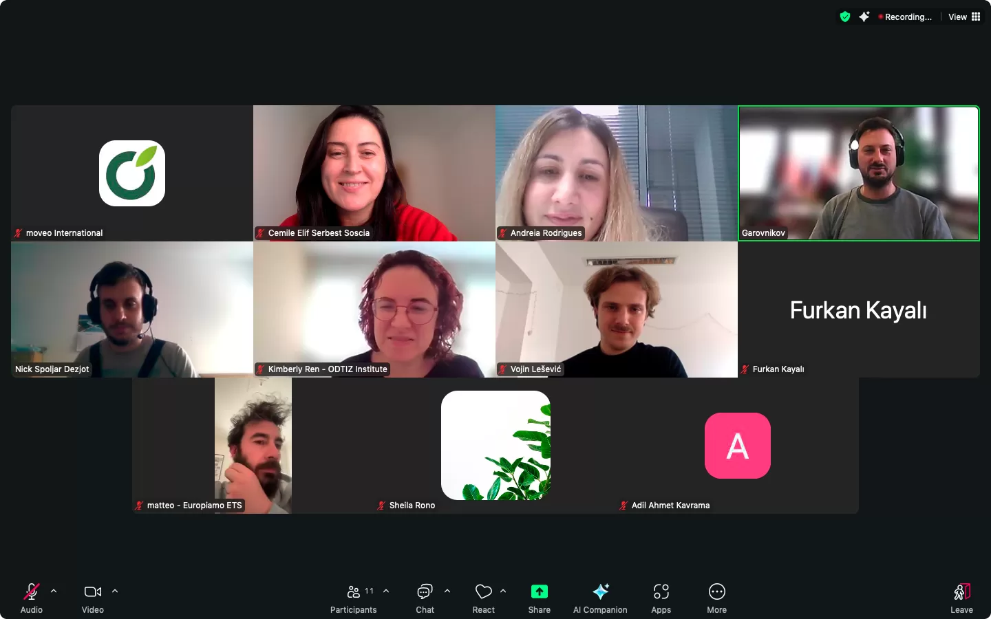 Online Meetings with Young Accessibility Ambassadors